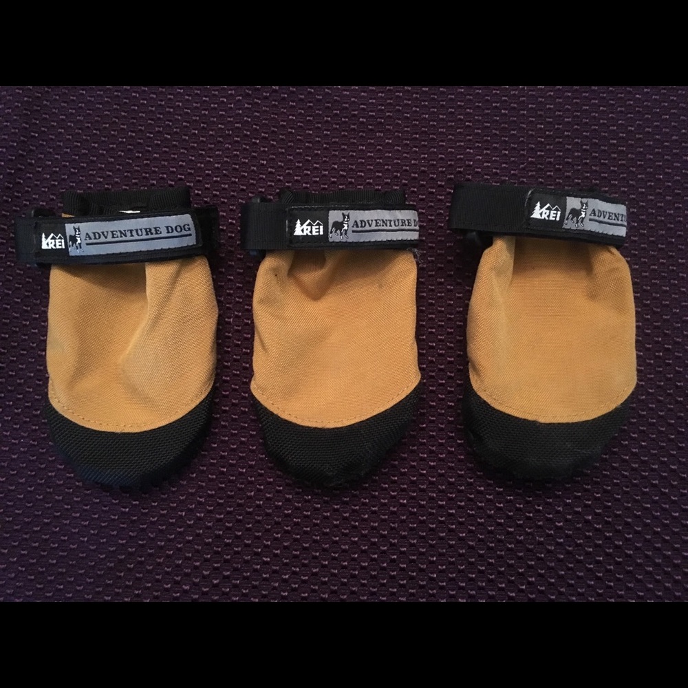 REI Canvas Dog Booties